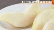 冬の味覚“ルレクチエ”の出荷始まる！天候・病気に悩まされるも甘さは例年以上「おいしく笑顔で食べて」新潟