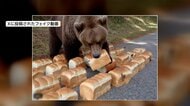 【悪質】“食パン放置問題”で新展開　フェイク動画が拡散　クマがムシャムシャ食べる生成AI動画　鳥取県知事も警鐘
