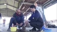 西播磨の養殖カキ大量死　兵庫県が『ふるさと納税で寄付を募る応援プロジェクト実施』を発表　「義援金ではなく中長期的に応援」と斎藤知事