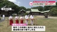 神社で“福梅”の土用干し　約200キロの実を約3か月寝かせ参拝者に配布「幸せに過ごせるように」大分
