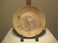 六代目襲名を記念…愛知県瀬戸市を拠点とする陶芸家・加藤作助さんの作品展 黄瀬戸の釉薬を使ったものなど