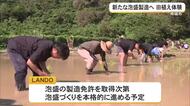 復帰後初の新泡盛メーカー目指す企業が田植え　米づくりと酒造りで地域と伝統つなぐ