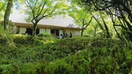 【速報】国の名勝「九年庵」春の一般公開中止
