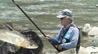 アユ釣り解禁も「魚が見えない」　産卵への影響も懸念…台風の爪痕いまも【静岡発】