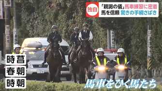 独自 馬２頭を1人で驚きの手綱さばき 親謁の儀 天皇陛下の乗られる馬車の練習に密着 動く美術品 皇室伝統の儀装馬車2号と3号