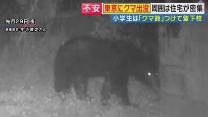 「こんなとこまで来るなんて」東京・八王子の住宅地にクマ　“繁殖期”に高まる母グマの攻撃性　「生きた心地がしなかった」壮絶体験をした人も　対策法を専門家が解説