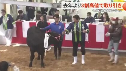今帰仁家畜市場で初セリ前年より3割高値で取引き「いいスタートが切れた」