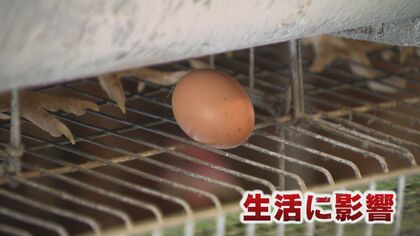 卵が高騰…猛威を振るう”鳥インフル” 収束の目処立たず家庭への影響大【福岡発】