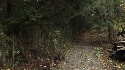 キノコ採り中にクマに襲われる…70代男性をドクターヘリで搬送　青森・十和田市