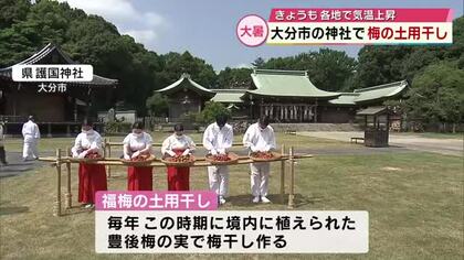 神社で“福梅”の土用干し　約200キロの実を約3か月寝かせ参拝者に配布「幸せに過ごせるように」大分