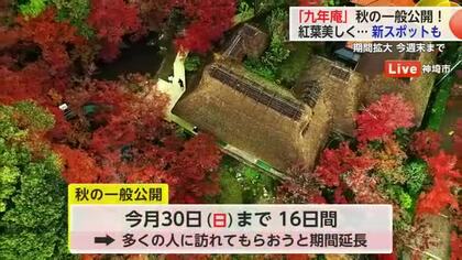 ≪中継≫真っ赤なモミジ広がる 国の名勝・九年庵 グルメやイベントも紹介【佐賀県神埼市】