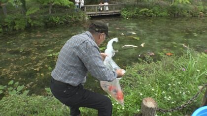 モネの池”と脚光浴びてから7年…岐阜・関市にある「名もなき池」池の