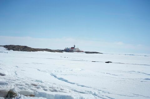 南極観測船「しらせ」が昭和基地沖に接岸…燃料や物資、食料などを搬送へ