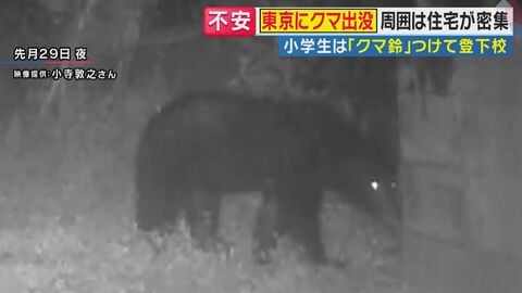 「こんなとこまで来るなんて」東京・八王子の住宅地にクマ　“繁殖期”に高まる母グマの攻撃性　「生きた心地がしなかった」壮絶体験をした人も　対策法を専門家が解説