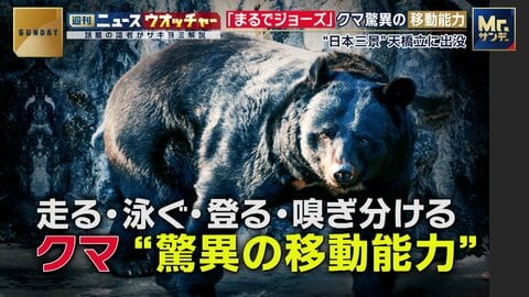 「ウサイン・ボルトのように走り、ジョーズのように速く静かに泳ぐ」意外な場所に出没するクマの“驚異の移動能力”