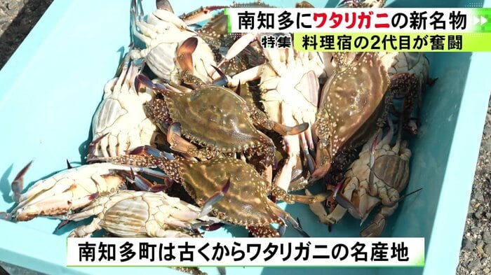 ニュースONE