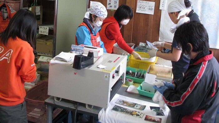 活動には多くのボランティアも参加した(提供:気仙沼市)