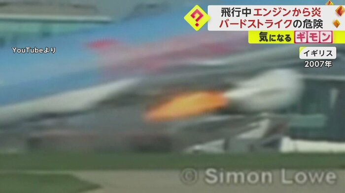 飛び立つ航空機のエンジンに鳥が吸い込まれ、炎が上がっている