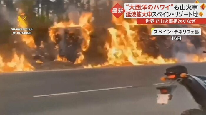 テネリフェ島で発生した山火事。山の道路脇に火の手が上がる。