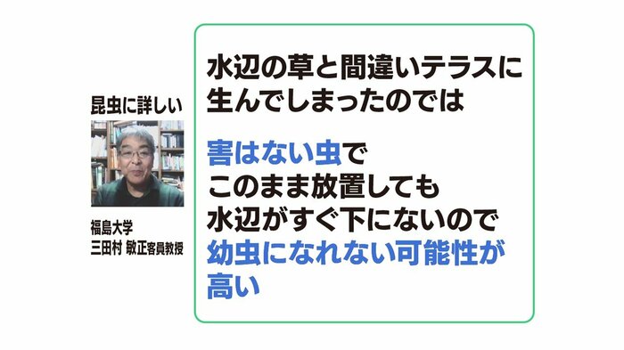 三田村教授の推測