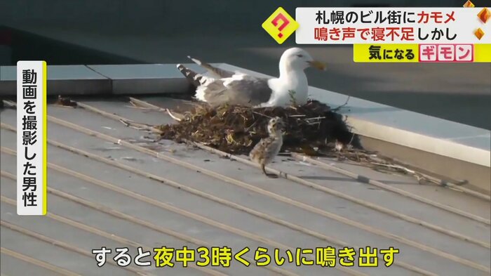(FNN投稿サイト「ビデオPost」)