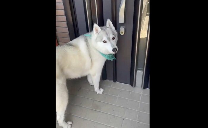 プールに入っているより表情がイキイキした?ユキちゃん