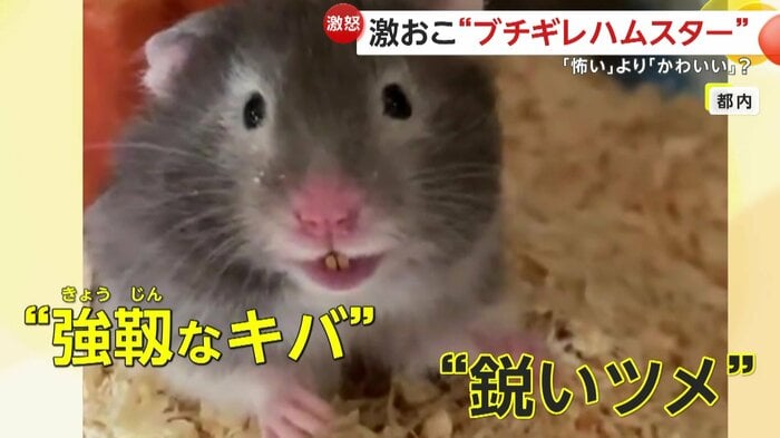 よく見れば鋭い牙とツメ(視聴者撮影)
