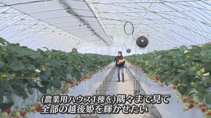 「すべての越後姫を輝かせたい」