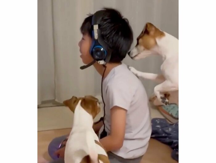提供:あずもなさん