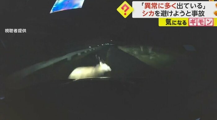 シカと衝突、「ガシャ!」という音が!