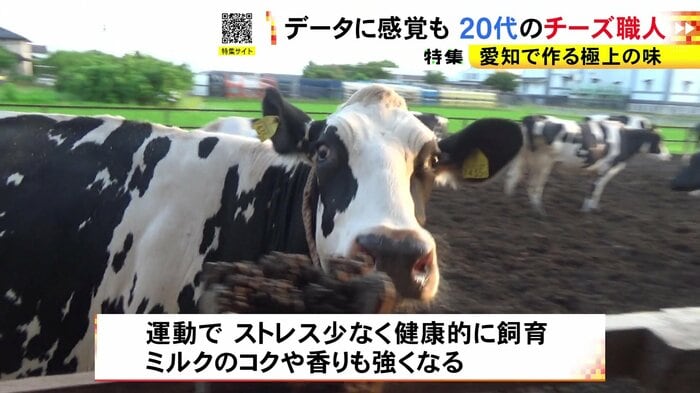 ニュースONE