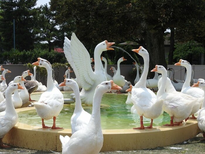(提供:東武動物公園)