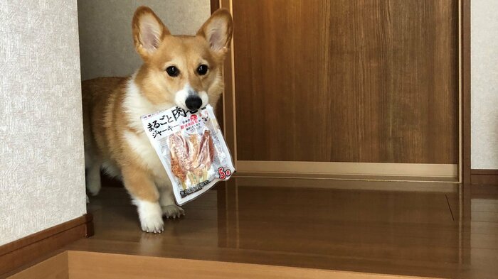 お気に入りのおやつの袋を見せに来ることも
