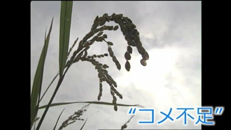 “平成の米騒動”がきっかけで注目された「エルニーニョ現象」　大凶作をもたらした天候不順について気象予報士が解説｜FNNプライムオンライン