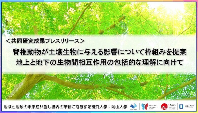 脊椎動物が土壌生物に与える影響について枠組みを提案:地上と地下の生物間相互作用の包括的な理解に向けて〔高知大学,北海道大学,森林研究・整備機構森林総合研究所,岡山大学,東京大学,福井県立大学〕