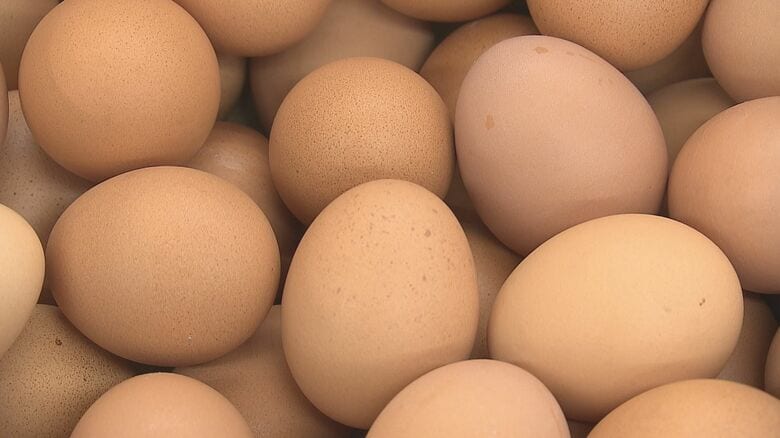 エッグショック再来の懸念　高騰する卵の価格　頭を抱える洋食店　養鶏場では鳥インフル対策　大分｜FNNプライムオンライン