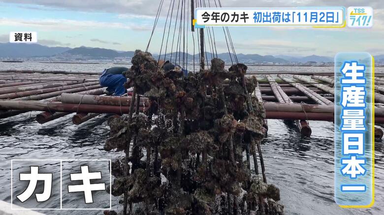 日本一の生産量を誇る広島カキ　初出荷日１１月２日に決定！　猛暑による高水温影響で去年より２週間遅く｜FNNプライムオンライン