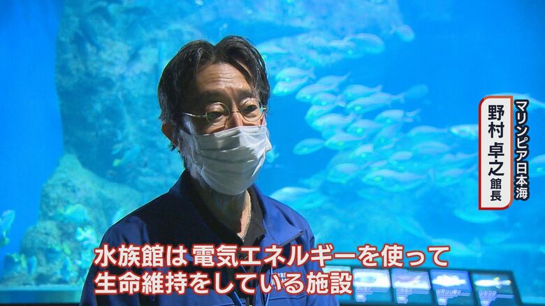 マリンピア日本海　野村卓之 館長