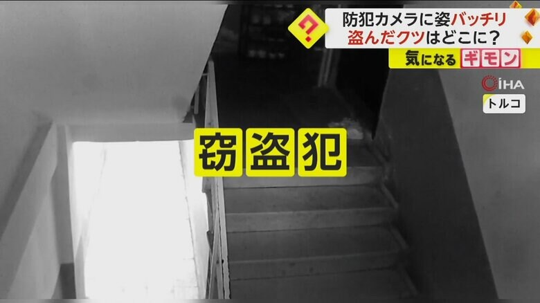 2匹の犬がクツを盗んでいく様子①