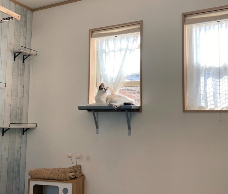 提供：かふぇらてさん