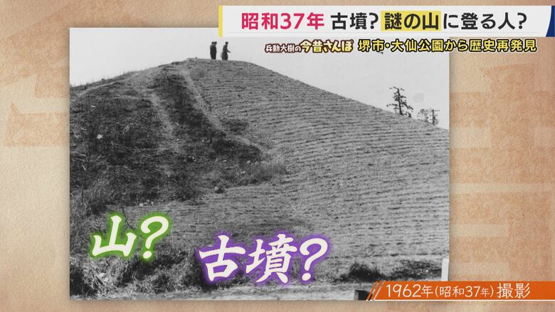 写真の正体は？