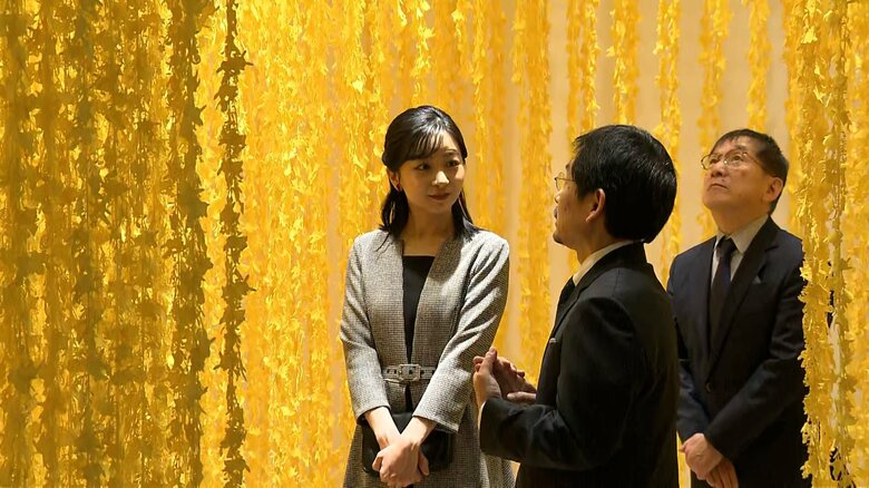 須藤玲子さん作「ピカチュウの森」をご覧に