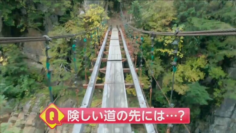高い場所にかけられた吊り橋を渡る
