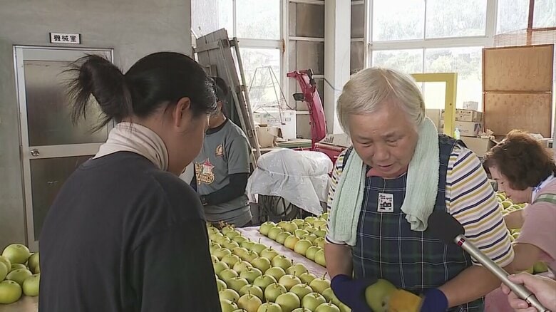 働きぶりに生産者からの評価も高い