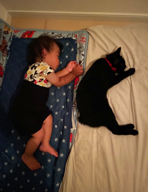 提供：ゴンゾウR4さん