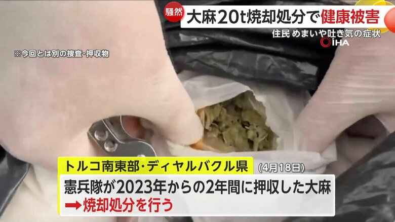 押収した大麻の映像