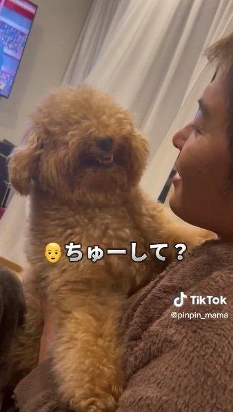 提供：ピン太郎ママさん