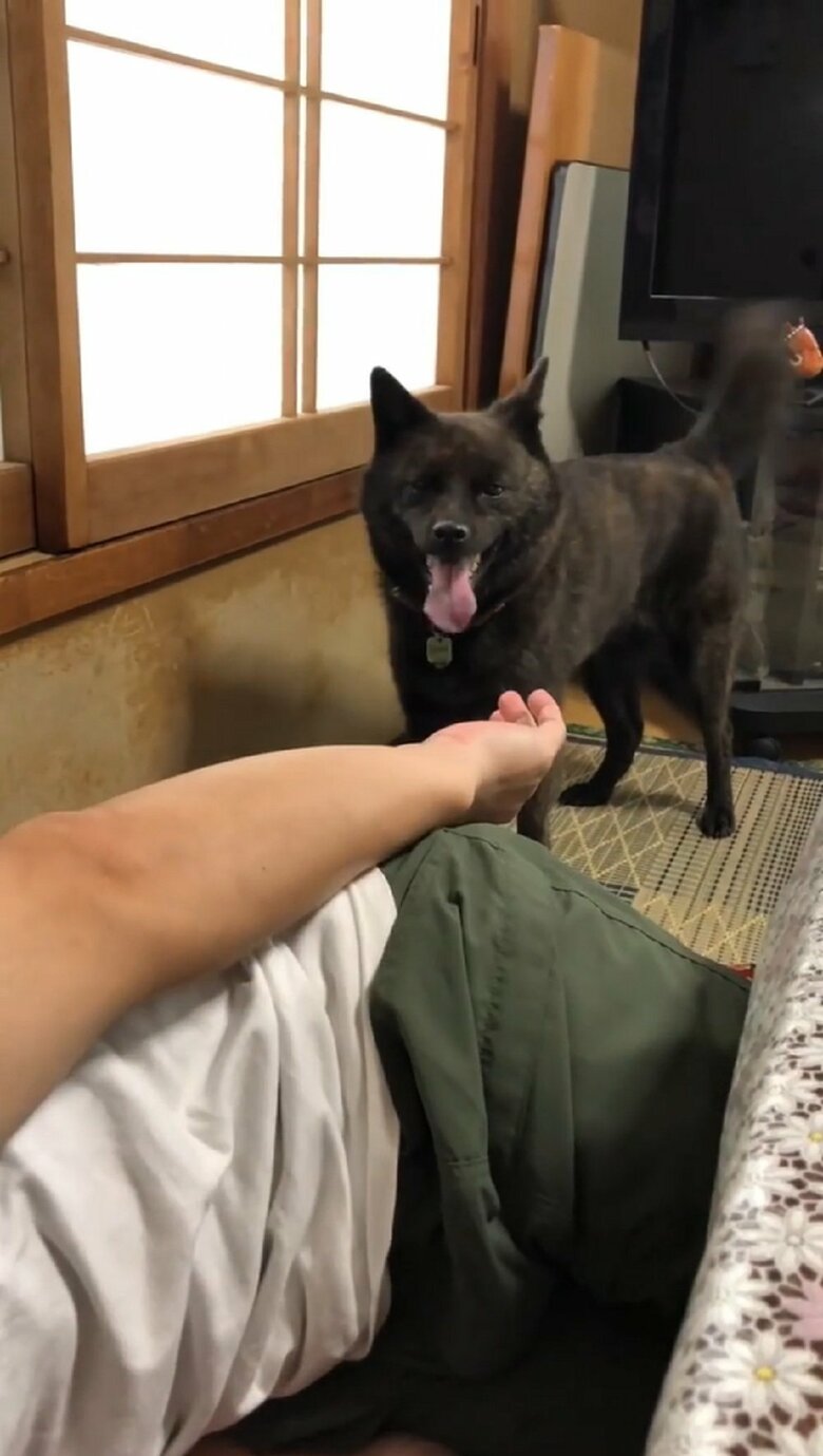 やり遂げた様子のななちゃん