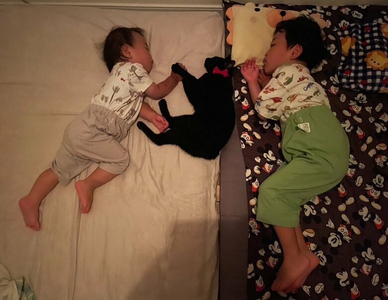 提供：ゴンゾウR4さん