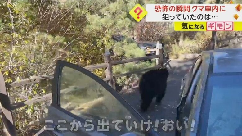「出て行け！」と言われ、車から出ていくクマ③